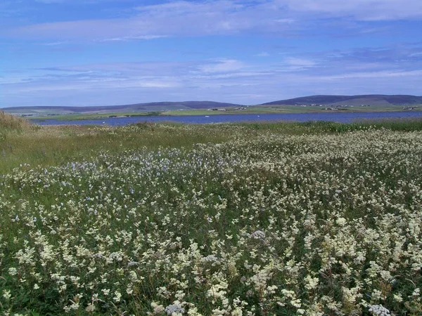 View Loch Ring Brodgar Orkney Mainland Orkney Islands Scotland United — Foto Stock