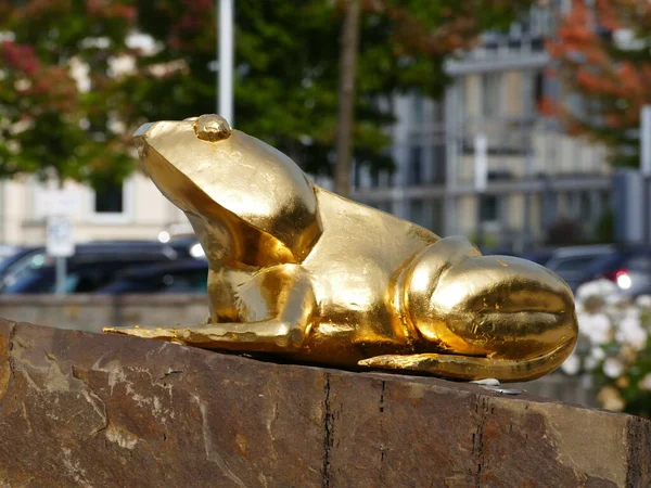 Golden Frog Middle Roundabout Attendorn North Rhine Westphalia Germany — Stockfoto