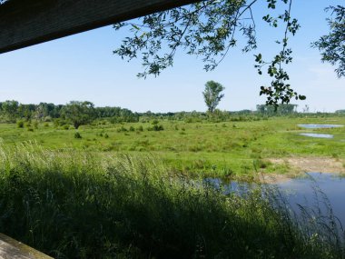 View from the viewing hill 