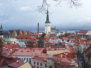 Olai 'nin Kilisesi' nin merkezindeki Tallinn, Estonya manzarası.