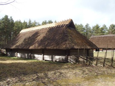 Estonya 'nın Tallinn yakınlarındaki Estonya Açık Hava Müzesi' ndeki Thatched binası.