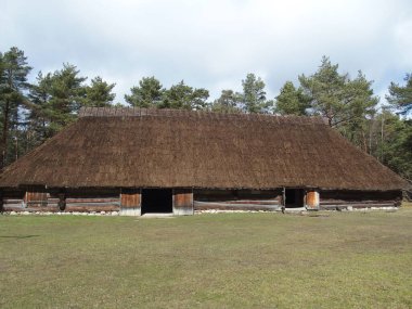 Estonya 'nın Tallinn yakınlarındaki Estonya Açık Hava Müzesi' ndeki Thatched binası.