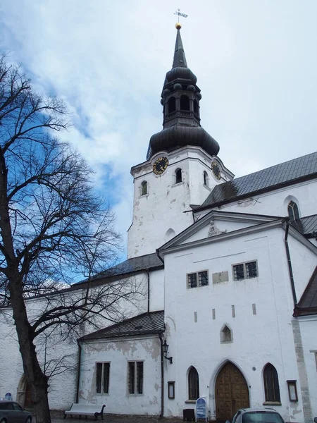Den Berömda Domkyrkan Toompeakullen Tallinn Estland — Stockfoto
