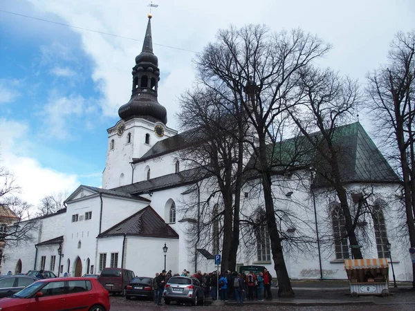 Famosa Cattedrale Della Cupola Sulla Collina Toompea Tallinn Estonia — Foto Stock