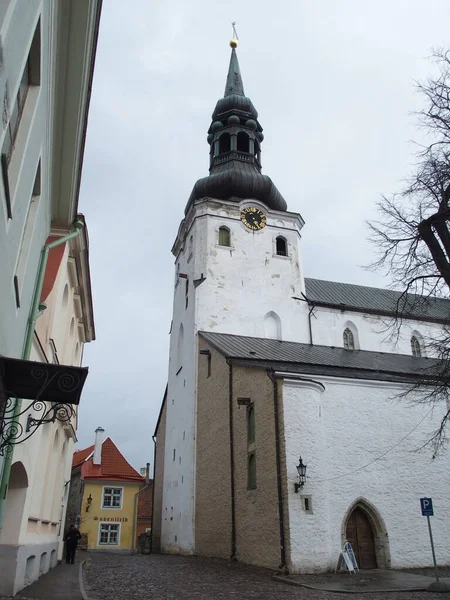 Tornet Den Berömda Domkyrkan Toompeakullen Tallinn Estland — Stockfoto