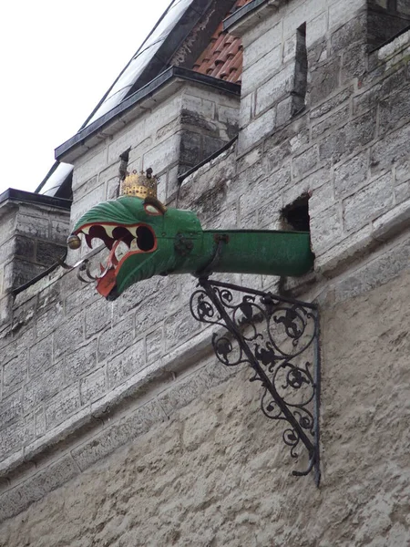 Gargoyle Historic Tallinn City Hall Estonia — стокове фото