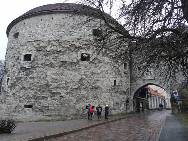 Şehir tahkimatlarının büyük yuvarlak kulesine 