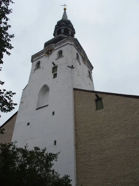 Tower Famous Dome Cathedral Toompea Hill Tallinn Estonia — Stock Photo, Image