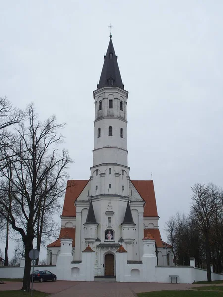 Katedra Piotra Pawła Siauliai Litwa — Zdjęcie stockowe
