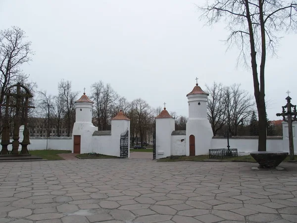 Tył Wejścia Katedry Piotra Pawła Siauliai Litwa — Zdjęcie stockowe