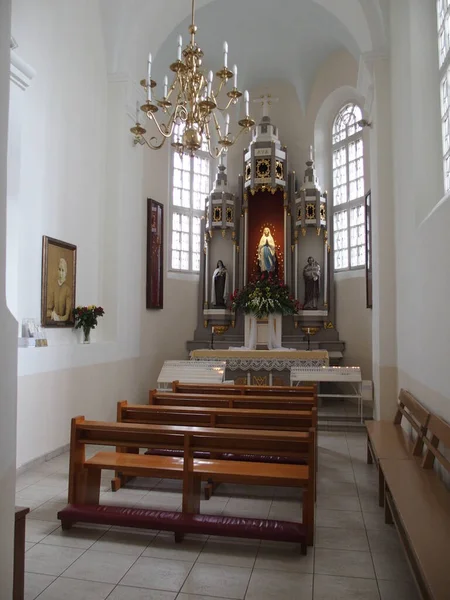 Altar Sankt Peters Och Paulkatedralen Siauliai Litauen — Stockfoto