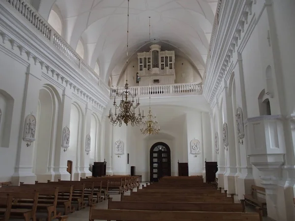 Nef Cathédrale Saint Pierre Paul Siauliai Lituanie — Photo