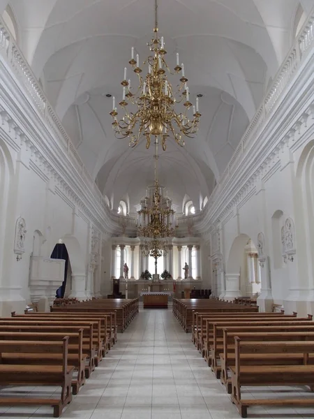 Nave Catedral São Pedro Paulo Siauliai Lituânia — Fotografia de Stock