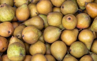 Yeşil Hollandalı Armutlar serada ya da pazarda.