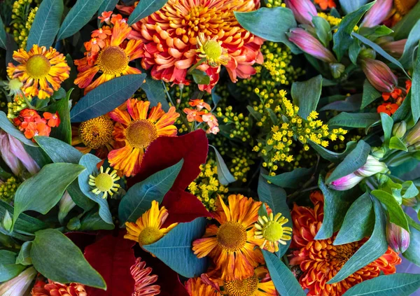 Hollanda 'da sokak pazarındaki Sarı Sonbahar Bahçesi çiçekleri.