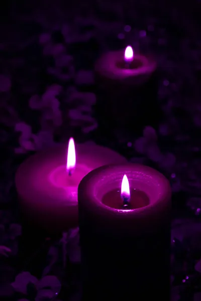 多くの魔法の紫とベルベットの紫色のキャンドルは花と青の背景に燃えます ストック画像
