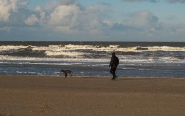 Erkek ve köpeği sabah deniz kıyısında yürüyorlar. Scheveningen Sahili, Kuzey Denizi, Lahey, Hollanda
