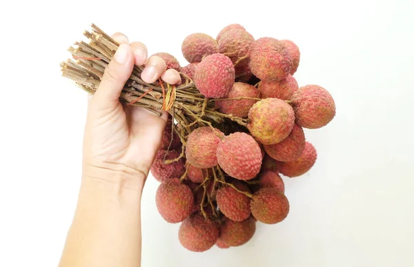 Bunch Fresh Lychees Litchi Chinensis Hold Hand Isolated White Background — Stock Photo, Image