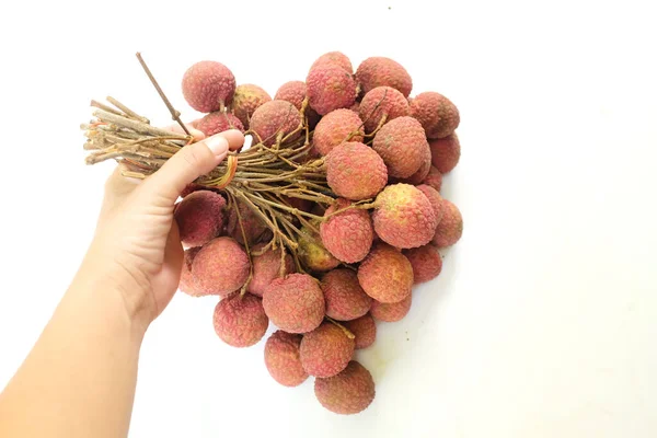 Bunch Fresh Lychees Litchi Chinensis Hold Hand Isolated White Background — Stock fotografie