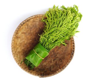 Acacia Pennata or Climbing Wattle or Cha-om green leaves in wooden basket isolate on a white background