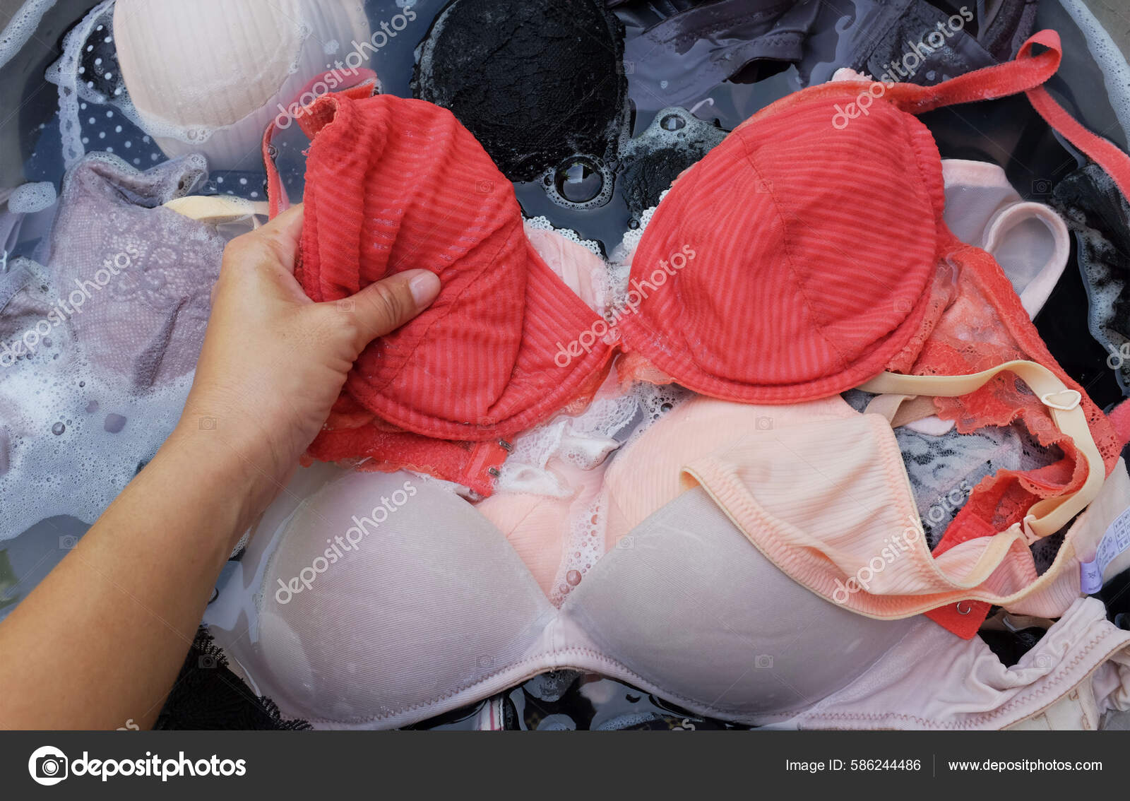 https://st.depositphotos.com/48430940/58624/i/1600/depositphotos_586244486-stock-photo-washing-bras-basin-washing-clothes.jpg