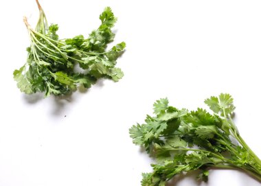 Üst görünüm taze yeşil yapraklı kişniş ya da kişniş beyaz arka plan malzemesi ya da sebzelerde izole edilmiştir.