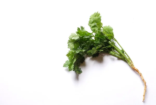 Fresh Green Leaf Coriander Cilantro Isolated White Background Ingredients Vegetables — 图库照片
