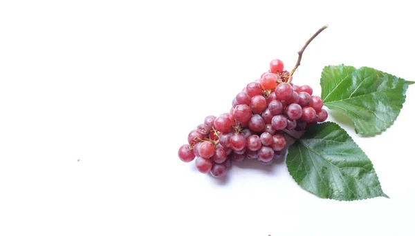 Copy Space Ripe Red Grapes Pink Bunches Leaves Isolate White — ストック写真