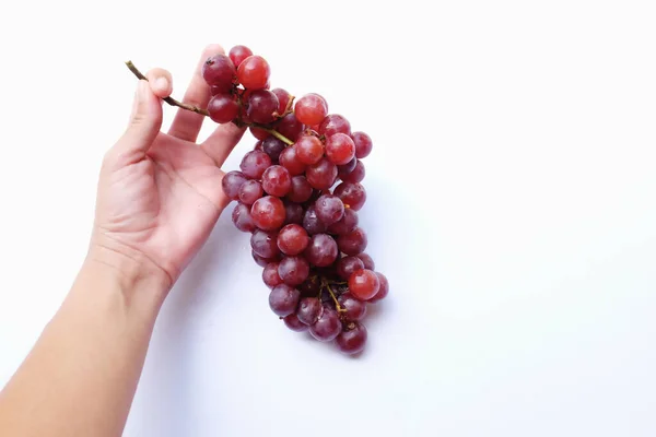 Woman Hand Holding Fresh Ripe Red Grapes Isolate White Background — 图库照片