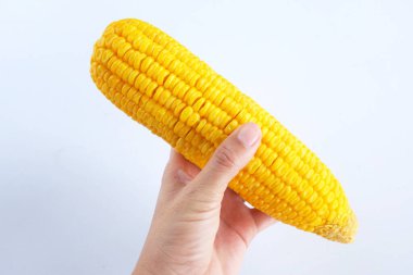 Beyaz arka planda izole edilmiş bir kadının ellerinde haşlanmış mısır. sağlıklı yiyecekler