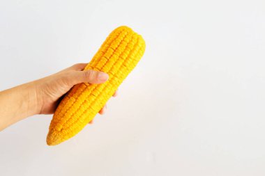 Beyaz arka planda izole edilmiş bir kadının elindeki tatlı haşlanmış mısırı kopyala. sağlıklı yiyecekler
