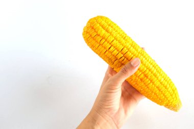 Beyaz arka planda izole edilmiş bir kadının ellerinde haşlanmış mısır. sağlıklı yiyecekler