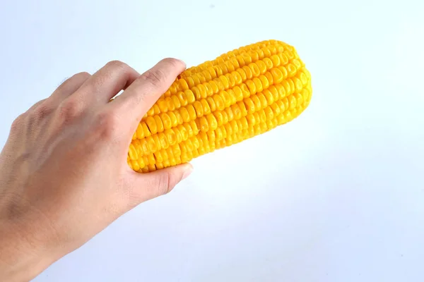 Sweet Boiled Corn Hands Woman Isolate White Background Healthy Food — 图库照片