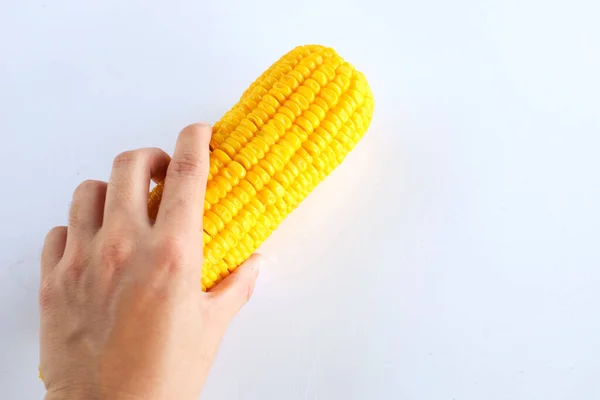 Copy Space Sweet Boiled Corn Hands Woman Isolate White Background — Stock Photo, Image