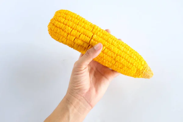 Sweet Boiled Corn Hands Woman Isolate White Background Healthy Food — Stock fotografie