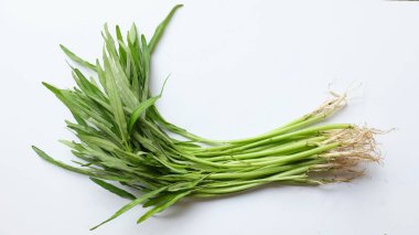 Üst ve düz yeşil su ıspanağı, Çin ıspanağı veya yalıtılmış beyaz arka planda sabah sebzesi. Sağlıklı beslenme ve vitamin kavramı.