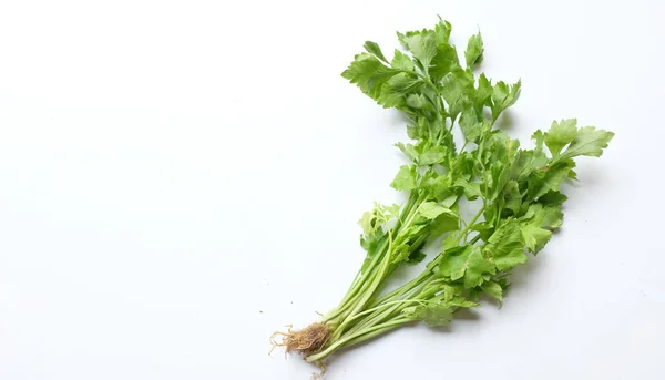 Top View Flat Lay Fresh Organic Celery Leave Apium Graveolens — Stock Photo, Image