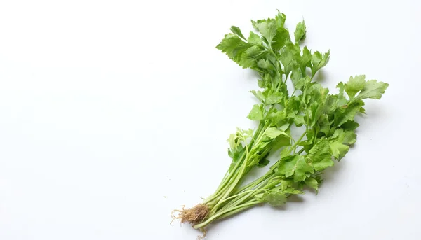 Top View Flat Lay Fresh Organic Celery Leave Apium Graveolens — стоковое фото