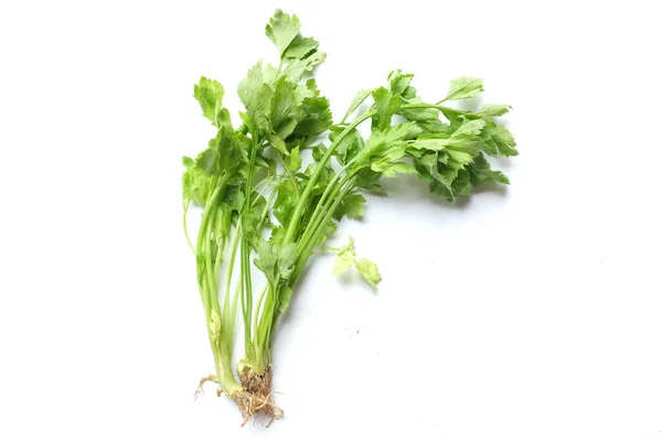 Top View Flat Lay Fresh Organic Celery Leave Apium Graveolens —  Fotos de Stock