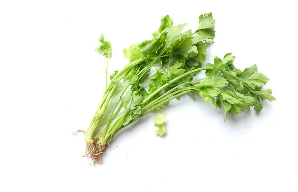 Top View Flat Lay Fresh Organic Celery Leave Apium Graveolens —  Fotos de Stock