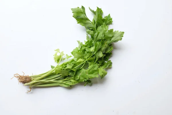 Top View Flat Lay Fresh Organic Celery Leave Apium Graveolens — 스톡 사진