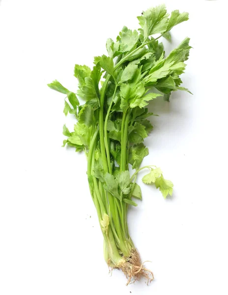 Top View Flat Lay Fresh Organic Celery Leave Apium Graveolens — Foto Stock