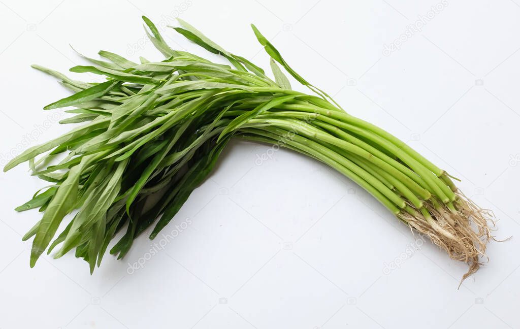 top view and flat lay of fresh green water spinach , chinese spinach or morning glory vegetable on isolated white background .concept of healthy nutrition and vitamins