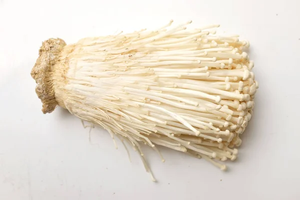 Top View Close Fresh Organic White Fresh Golden Needle Mushroom — Stockfoto