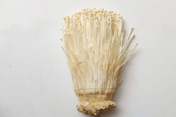 Top View Close Fresh Organic White Fresh Golden Needle Mushroom — стоковое фото