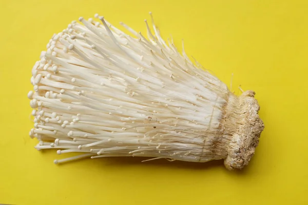 Top View Close Fresh Organic White Fresh Golden Needle Mushroom — стоковое фото