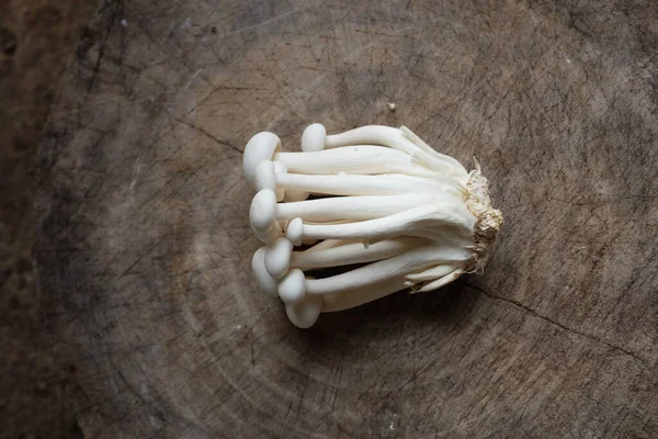 Top View Flat Lay Fresh Organic White Beech Mushrooms Shimeji — Φωτογραφία Αρχείου