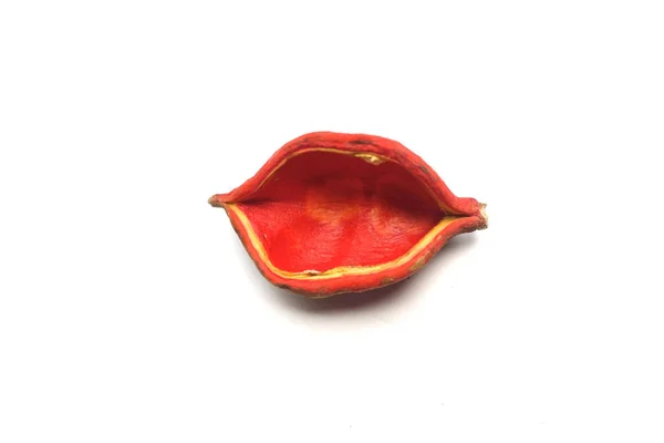 Top View Flat Lay Red Peel Chestnuts Sterculia Monosperma Isolate — Stockfoto