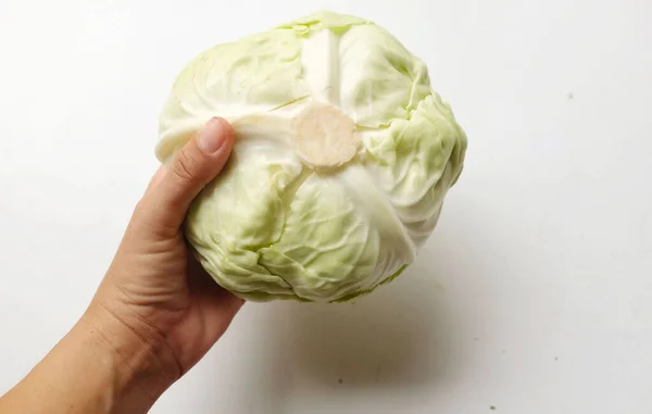 Close Female Hand Holding Fresh Organic Green Cabbage Isolate White — Stock fotografie