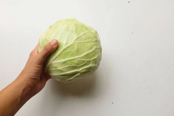 Close Woman Hand Holding Fresh Organic Green Cabbage Isolate White — Fotografia de Stock
